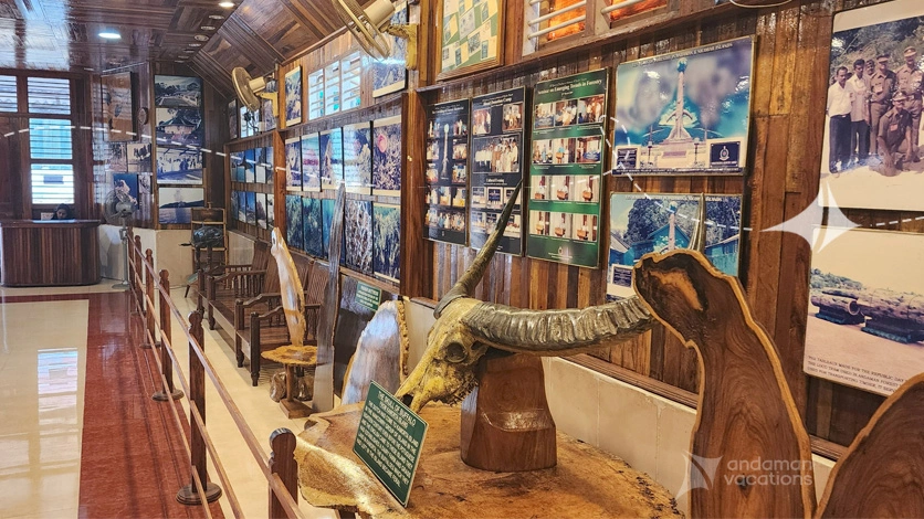 Forest Museum Exhibit
