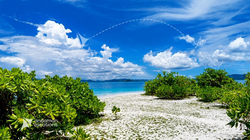 Marine National Park