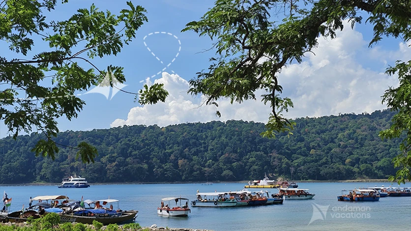 Scuba Diving in Andaman Islands: Beginner's Guide