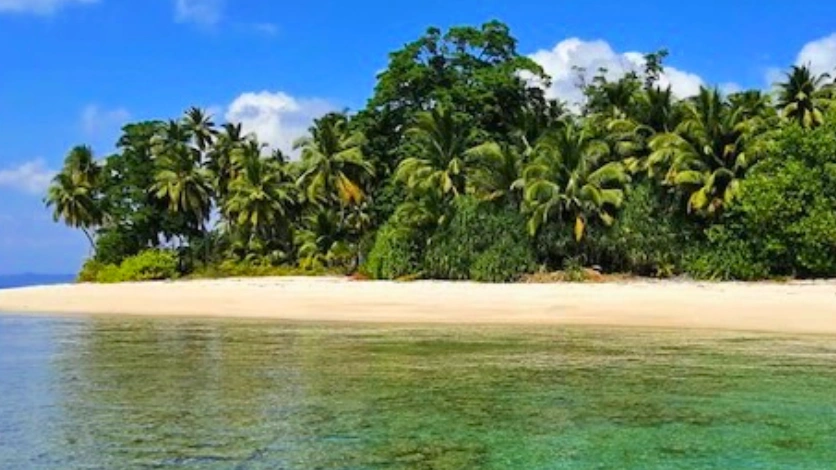 Crystal Clear Waters