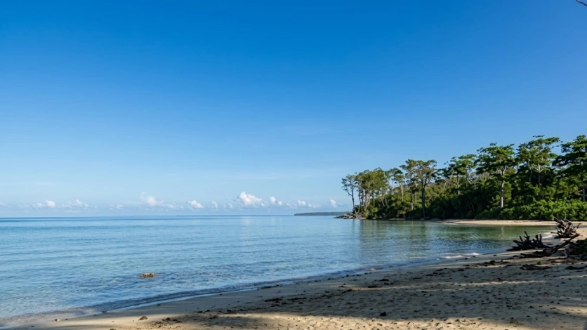 Open Sea Jet Ski Adventure - Andaman