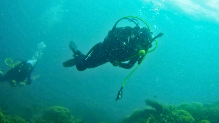 Neil Island Snorkeling Shaheed Dweep