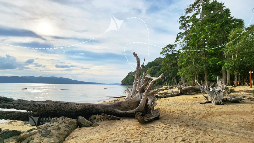 Chidya Tapu Beach