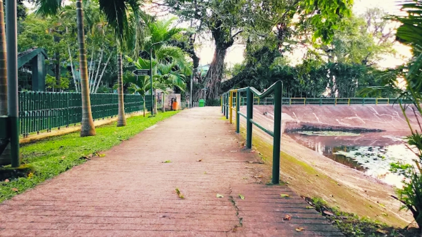 Gandhi Park Green Garden Landscape