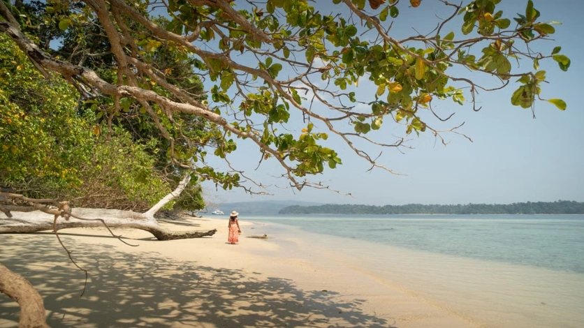 Andaman and Nicobar Islands The Complete Travel Guide