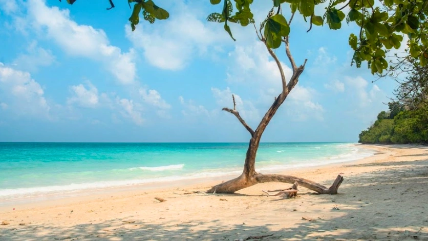 Kalapathar Beach, Havelock Island (Swaraj Dweep)