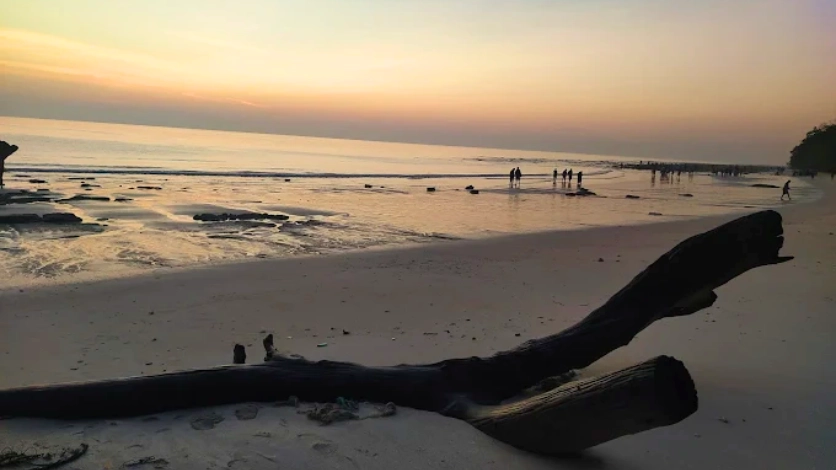 Long shoreline of Vijaynagar Beach on Havelock Island