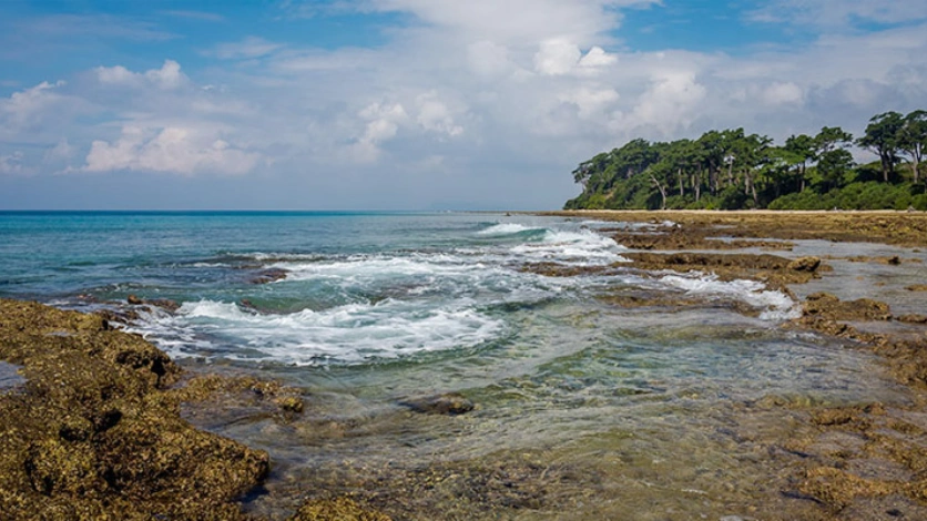 Laxmanpur Beach Shoreline