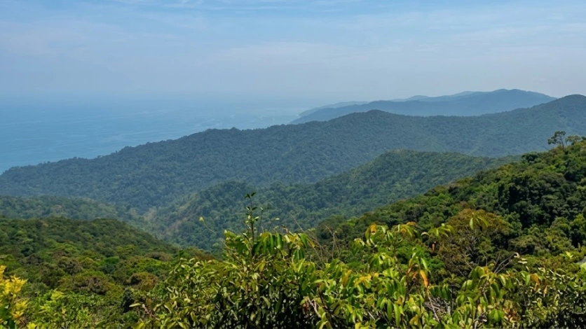 Saddle Peak