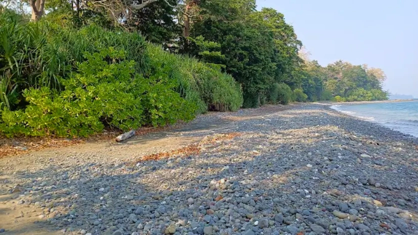 Tropical Rainforests of Andaman: Nature and Biodiversity