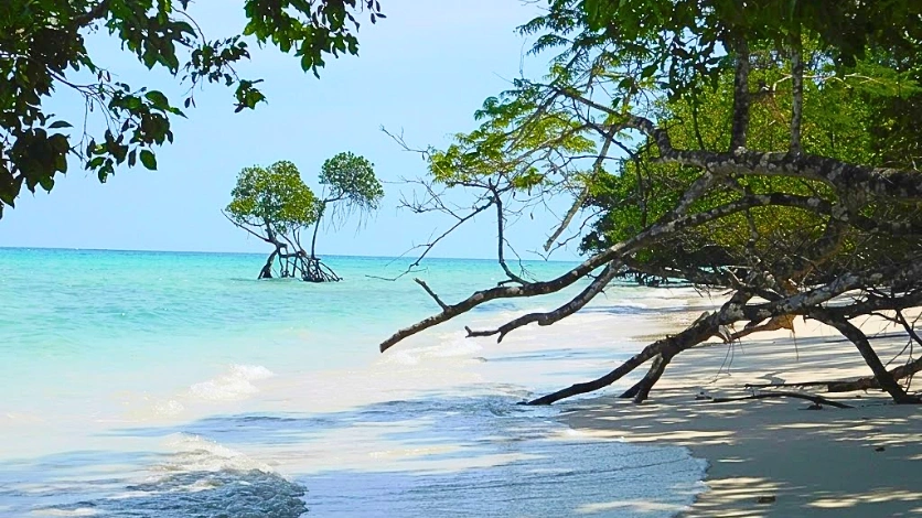 Vijaynagar Beach, Havelock Island