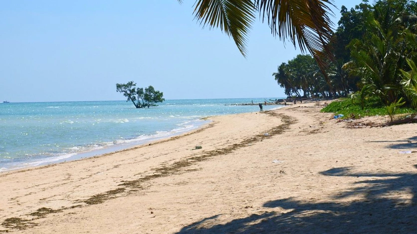 Best Resorts in Havelock Island: How to Choose Your Stay